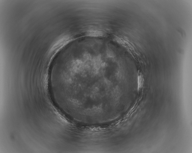 X0000112170243200908211432