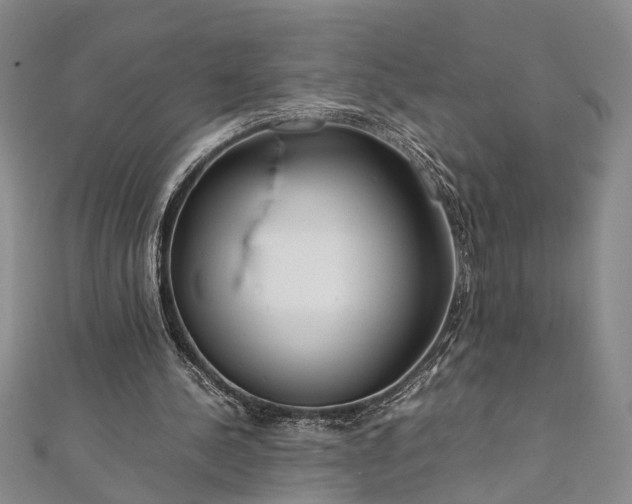 X0000112170244200908211432