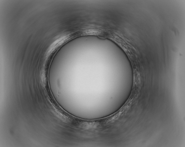 X0000112170245200908211432