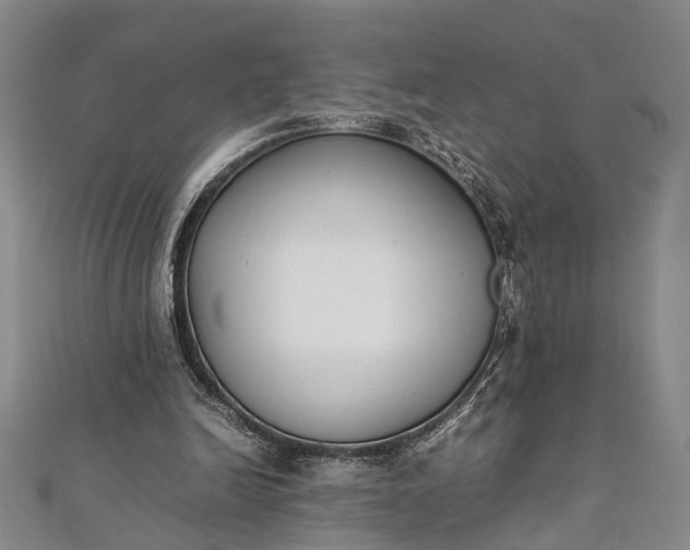 X0000112170246200908211432