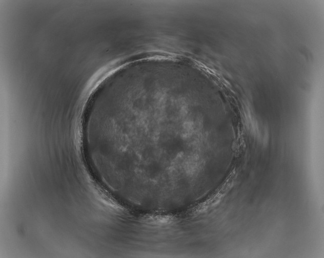 X0000112170247200908211432