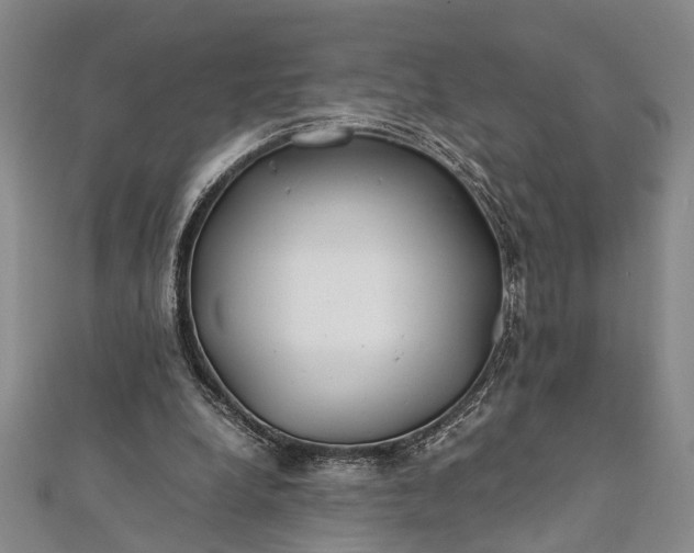 X0000112170248200908211432