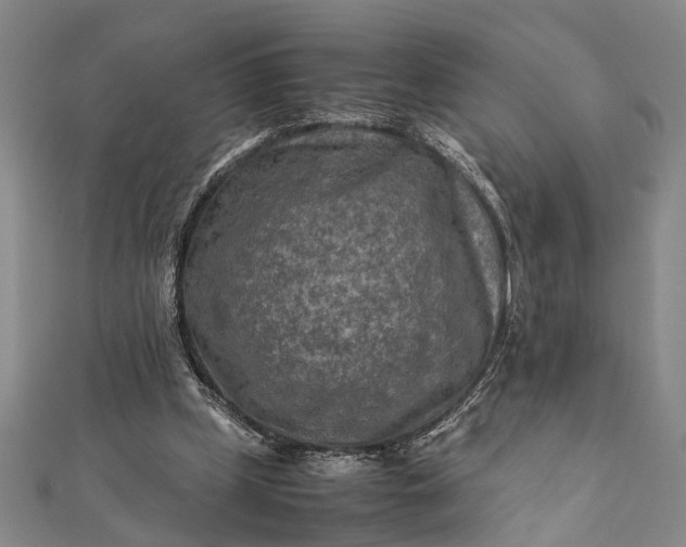 X0000112170249200908211432