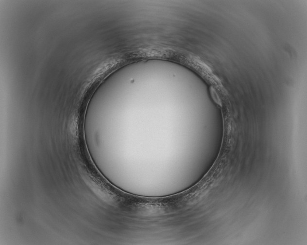 X0000112170250200908211432