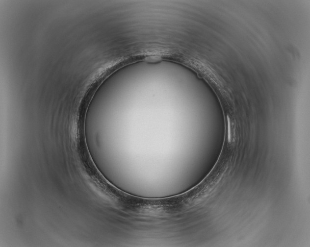 X0000112170252200908211432