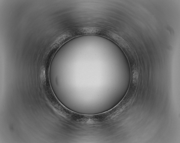 X0000112170254200908211432