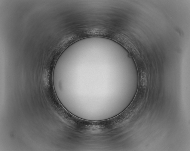 X0000112170255200908211432