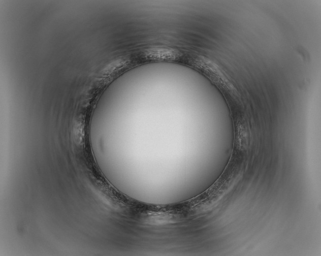 X0000112170259200908211432