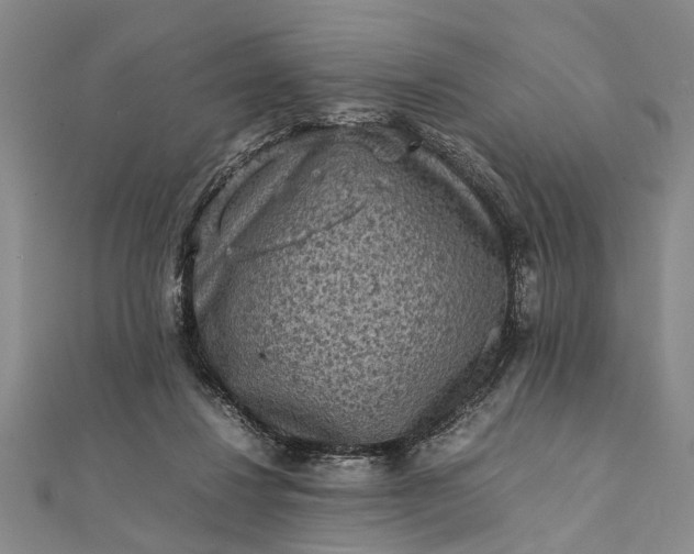 X0000112170260200908211432