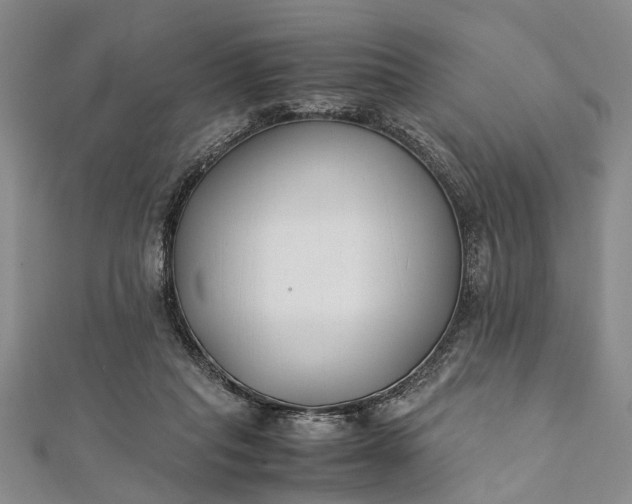 X0000112170261200908211433