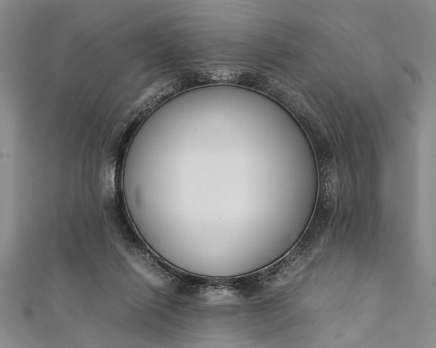 X0000112170262200908211433