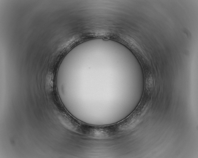 X0000112170264200908211433