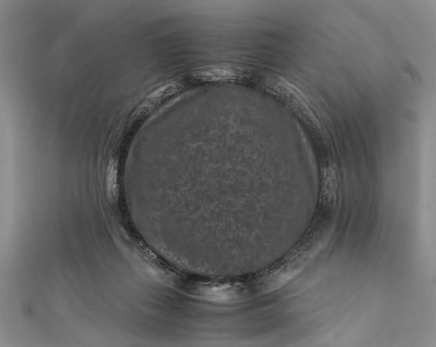 X0000112170267200908211433