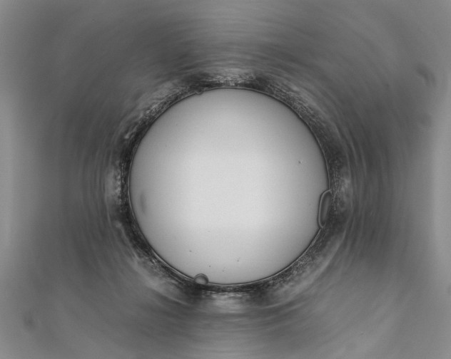 X0000112170268200908211433