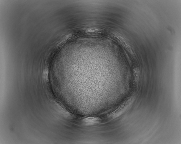 X0000112170269200908211433