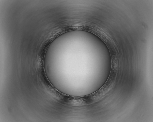 X0000112170270200908211433