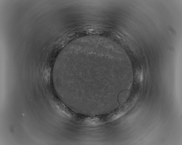 X0000112170271200908211433