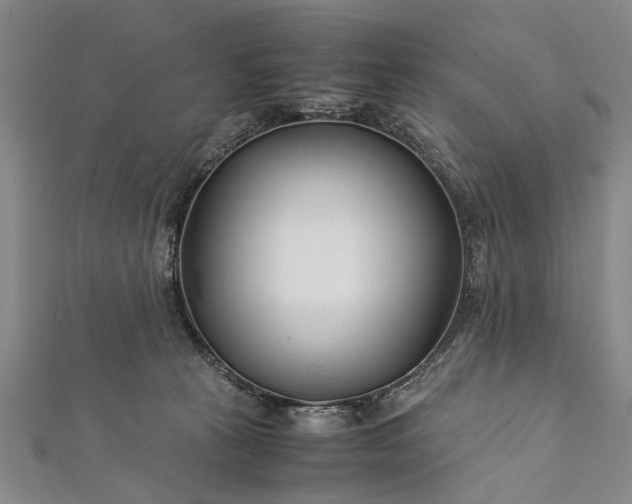 X0000112170273200908211433