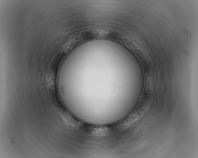 X0000112170274200908211433