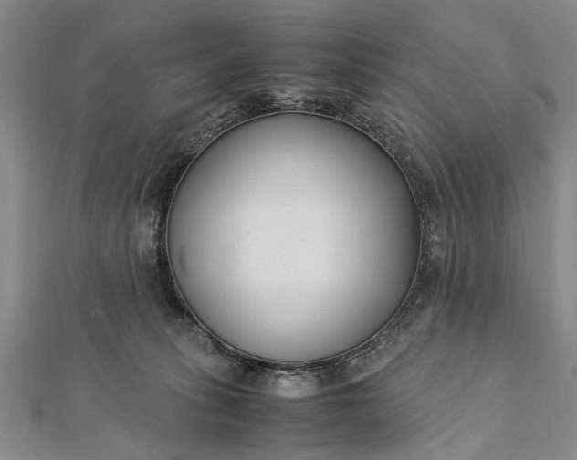 X0000112170275200908211433