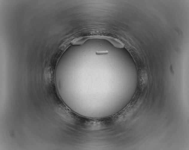 X0000112170276200908211433