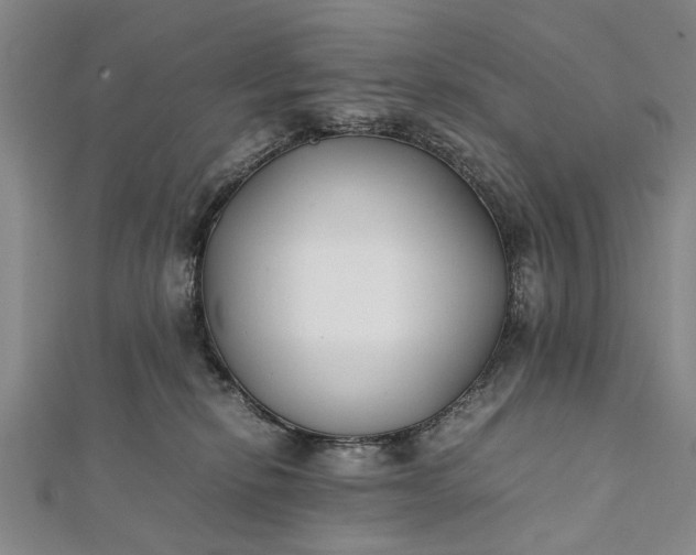 X0000112170278200908211433