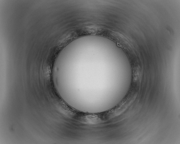 X0000112170279200908211433