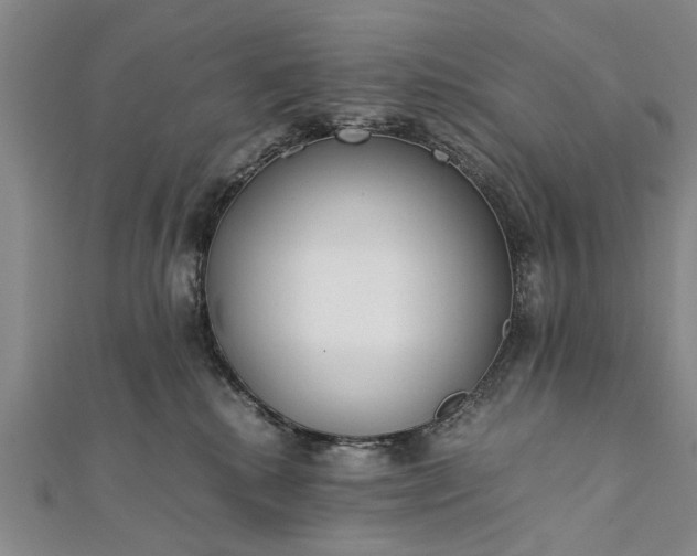 X0000112170280200908211433