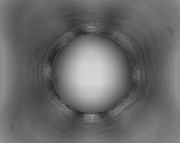 X0000112170281200908211433