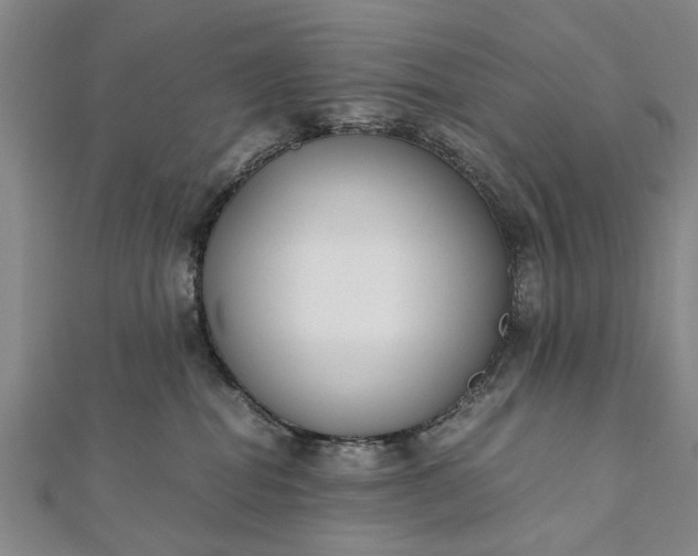 X0000112170282200908211433