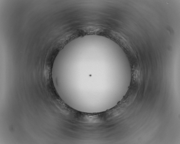 X0000112170283200908211433