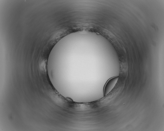 X0000112170286200908211433