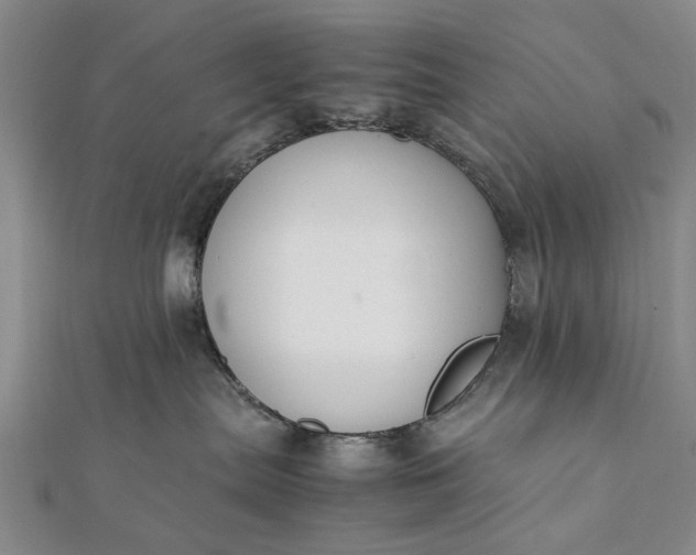 X0000112170287200908211433