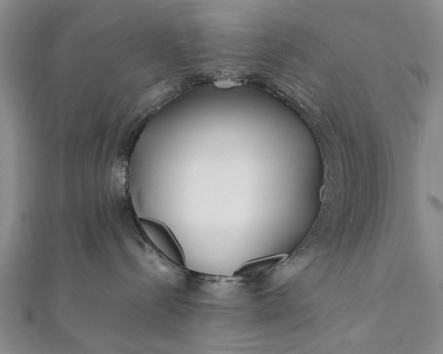 X0000112170288200908211433