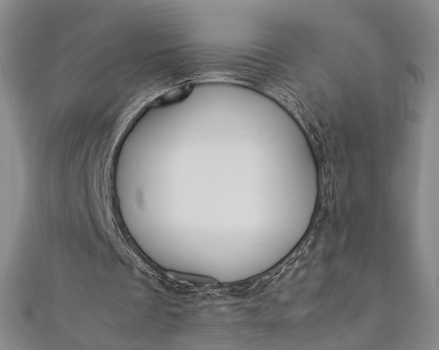 X0000112170289200908211432