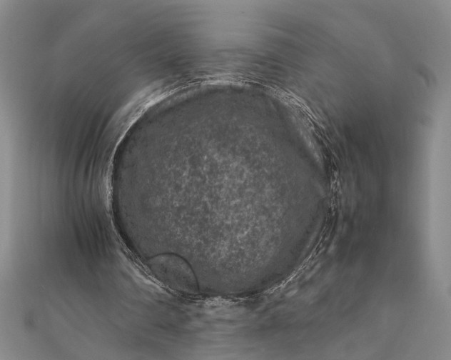 X0000112170290200908211432