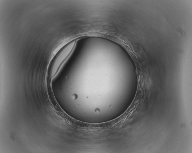 X0000112170292200908211432