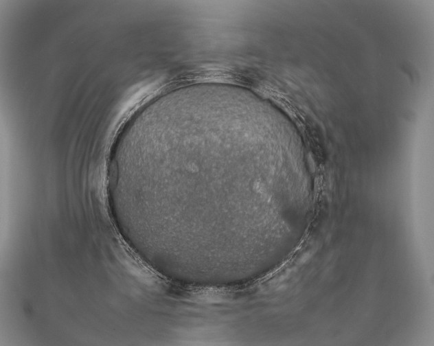 X0000112170293200908211432