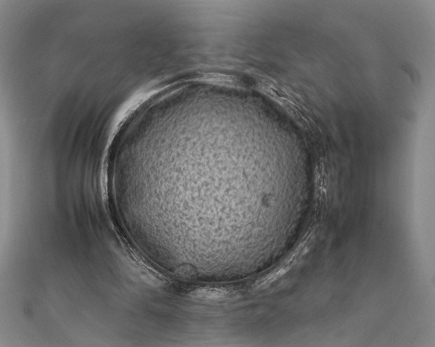 X0000112170294200908211432