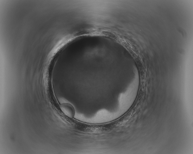 X0000112170295200908211432