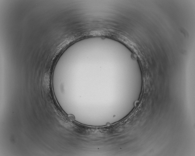 X0000112170297200908211432