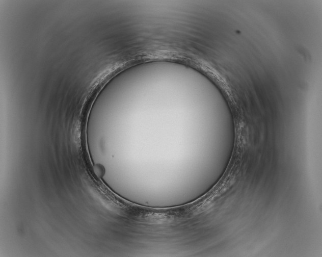 X0000112170298200908211432