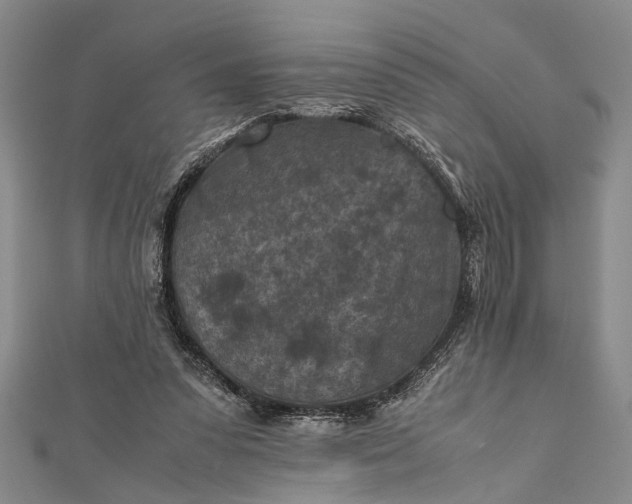 X0000112170303200908211432