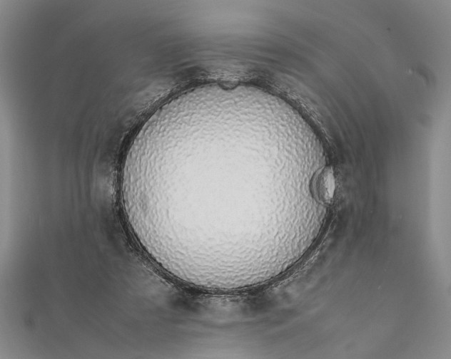 X0000112170305200908211432