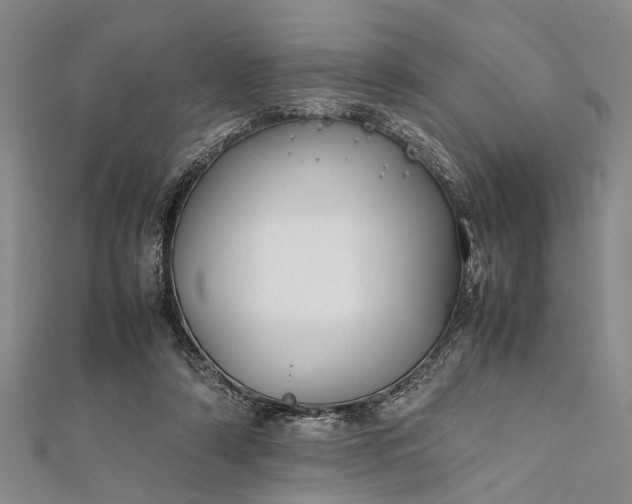 X0000112170306200908211432