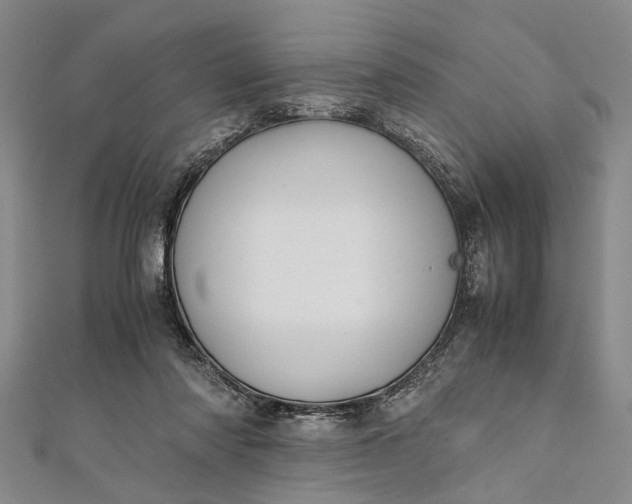 X0000112170310200908211432