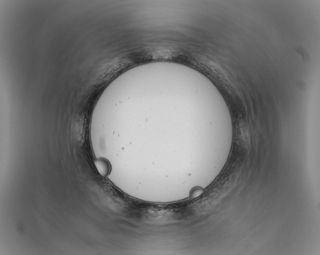 X0000112170311200908211432