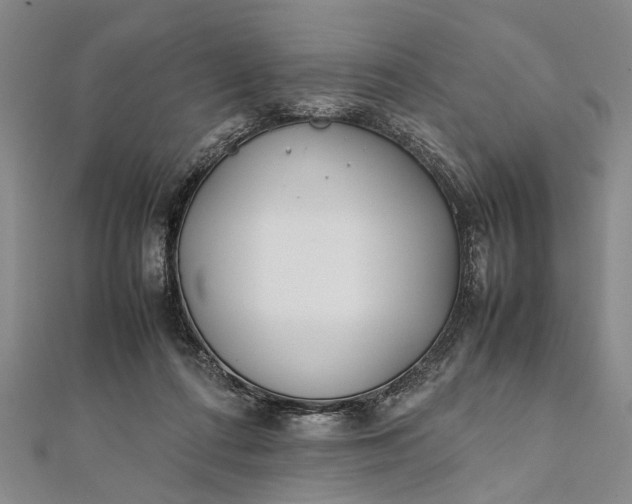 X0000112170312200908211432