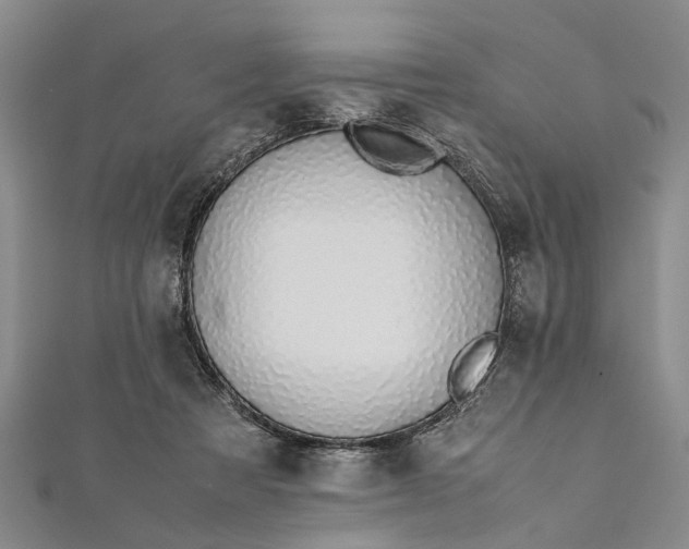 X0000112170313200908211432