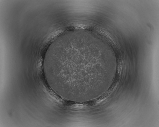 X0000112170314200908211432